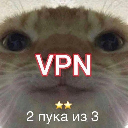 Два пука из трёх VPN